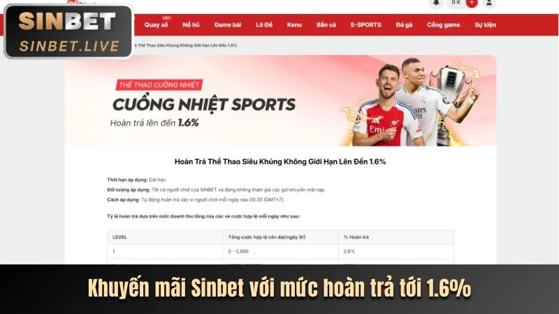 Cá cược tennis tại andara88